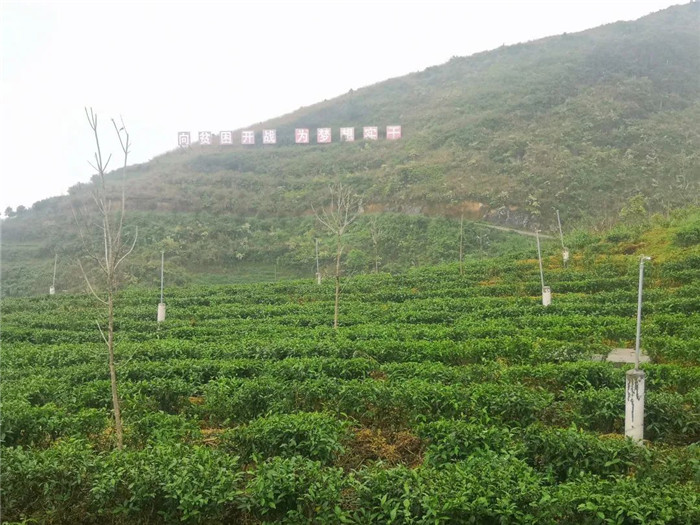 微信图片_20200624083730.jpg